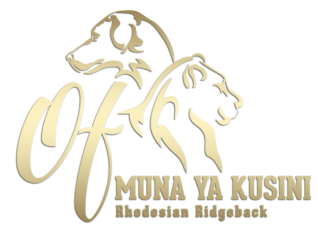 of muna logo gold
